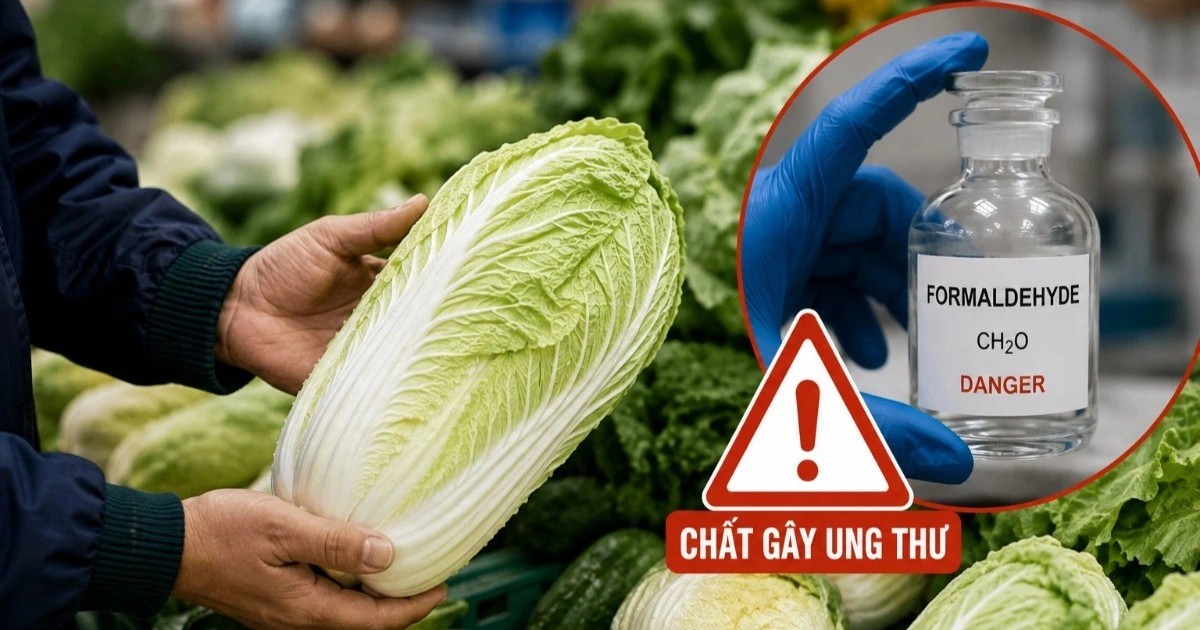 5 mẹo giúp bạn dễ dàng nhận biết cải thảo nhiễm formaldehyde - Ảnh 2.