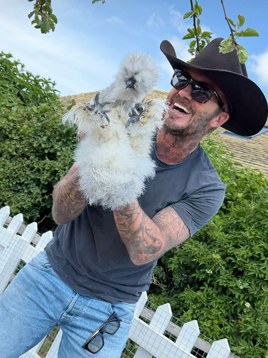 David Beckham làm vườn hào hứng khoe bí ngô độc đáo trong không khí Halloween 2026 - Ảnh 7. David Beckham làm vườn hào hứng khoe bí ngô độc đáo trong không khí Halloween 2026 - Ảnh 7.