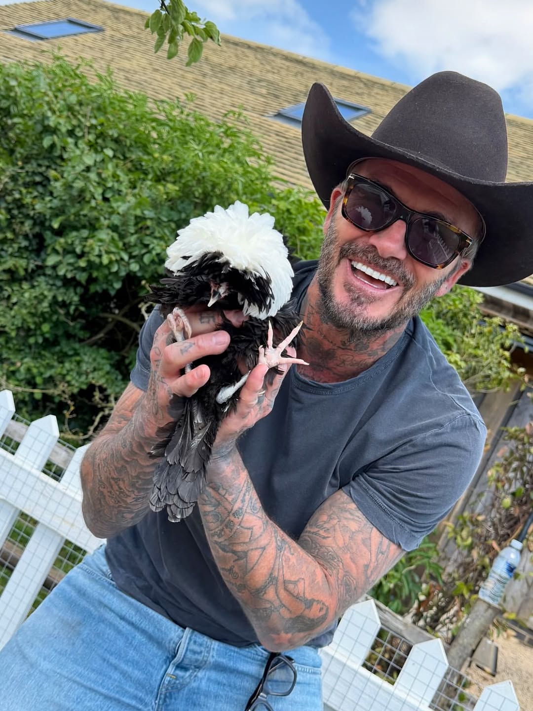 David Beckham làm vườn hào hứng khoe bí ngô độc đáo trong không khí Halloween 2026 - Ảnh 6. David Beckham làm vườn hào hứng khoe bí ngô độc đáo trong không khí Halloween 2026 - Ảnh 6.