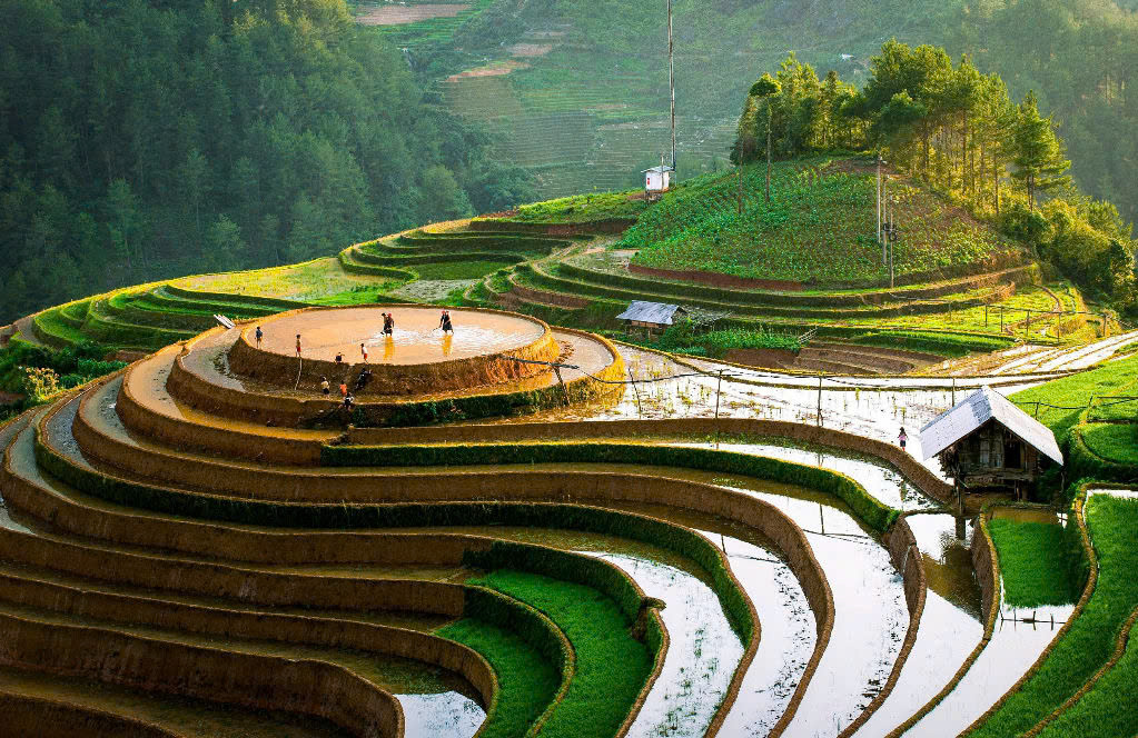 Garrya Mù Cang Chải: Khi ruộng bậc thang trở thành một phần của kỳ nghỉ dưỡng hạng sang - Ảnh 3.
