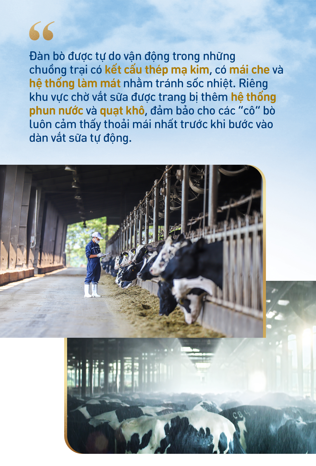 Điều gì làm nên chất lượng vượt trội của sữa tươi sạch TH true MILK? - Ảnh 2. Điều gì làm nên chất lượng vượt trội của sữa tươi sạch TH true MILK? - Ảnh 2.