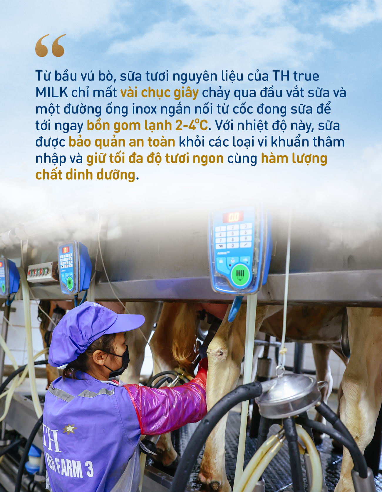 Điều gì làm nên chất lượng vượt trội của sữa tươi sạch TH true MILK? - Ảnh 6. Điều gì làm nên chất lượng vượt trội của sữa tươi sạch TH true MILK? - Ảnh 6.