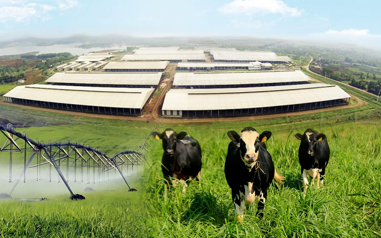 Điều g&igrave; l&agrave;m n&ecirc;n chất lượng vượt trội của sữa tươi sạch TH true MILK? - Ảnh 1.