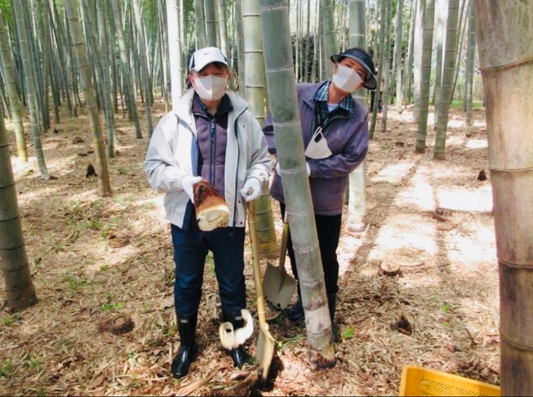 Hình ảnh cũ của Công chúa Aiko bị