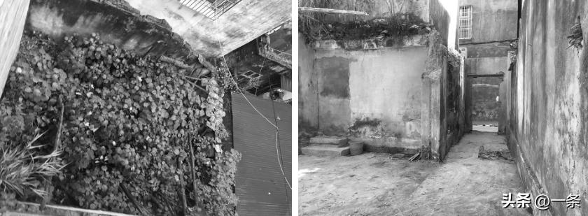 3 anh chị em thừa kế căn nhà tổ chỉ 44m², cải tạo thành nơi đủ rộng để 3 thế hệ có thể cùng chung sống - Ảnh 3.