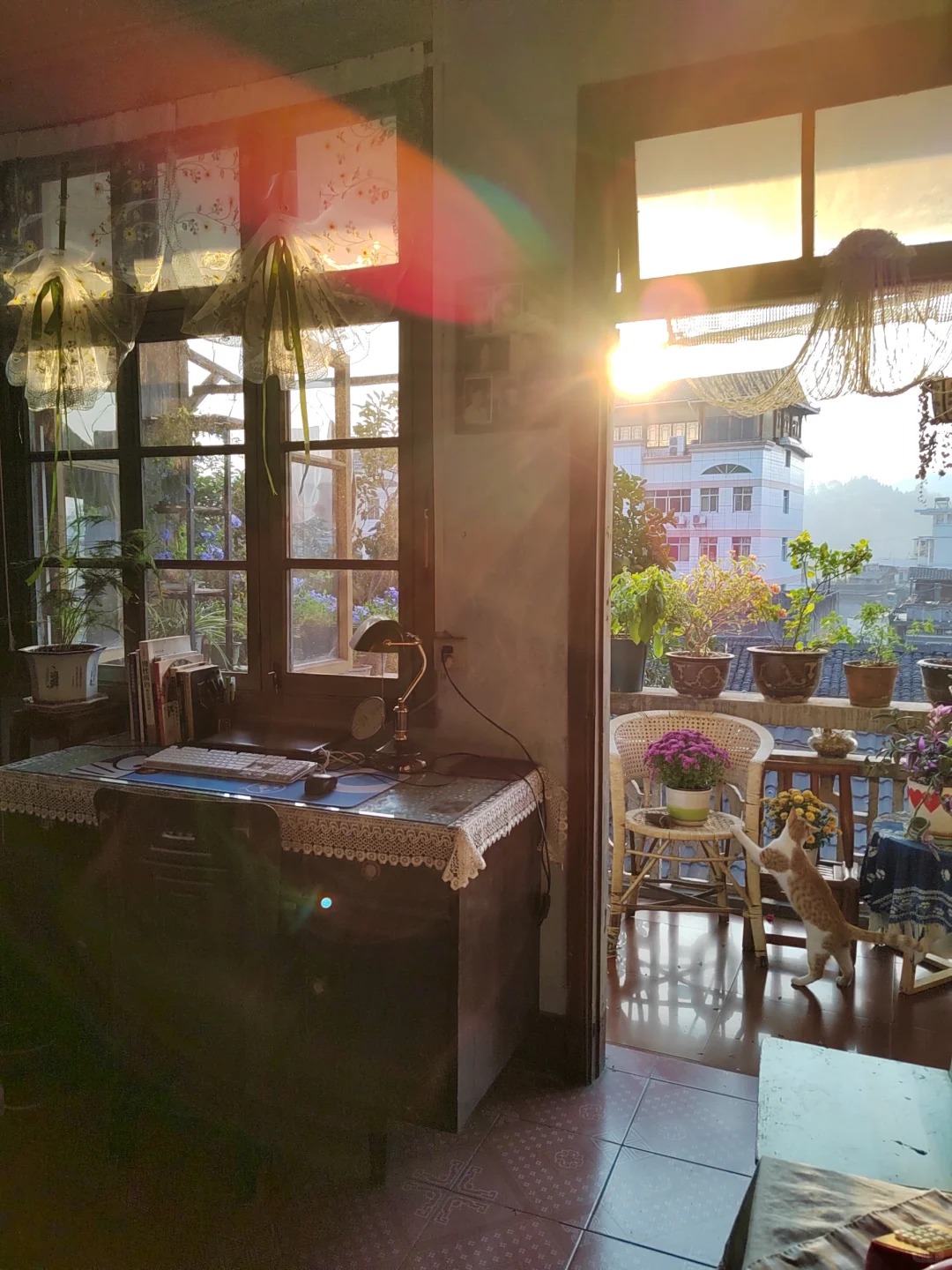 Người phụ nữ 60 tuổi sống một m&igrave;nh trong căn nh&agrave; hơn 40 năm: Bước v&agrave;o b&ecirc;n trong mới hiểu v&igrave; sao b&agrave; kh&ocirc;ng muốn sửa sang - Ảnh 9.