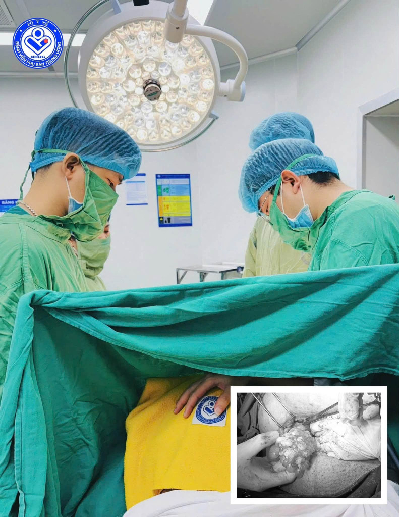  - Ảnh 1.