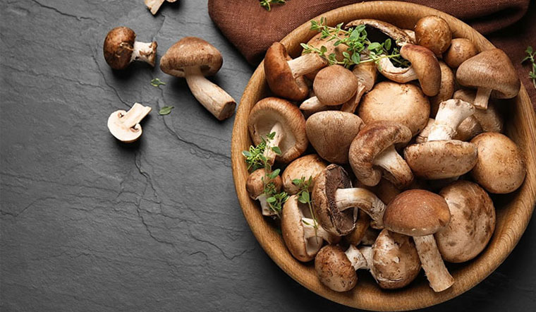 Chọn mua nấm hương, người th&ocirc;ng minh sẽ ch&uacute; trọng đến 4 điều n&agrave;y khiến người b&aacute;n cũng phải khen ngợi - Ảnh 1.