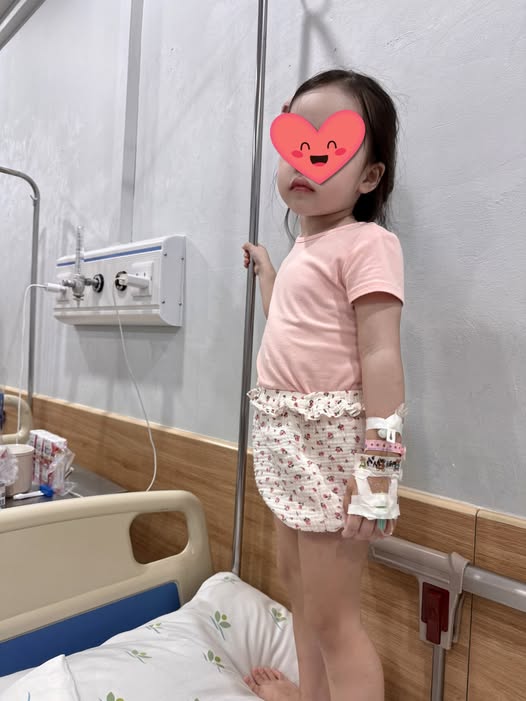  - Ảnh 1.