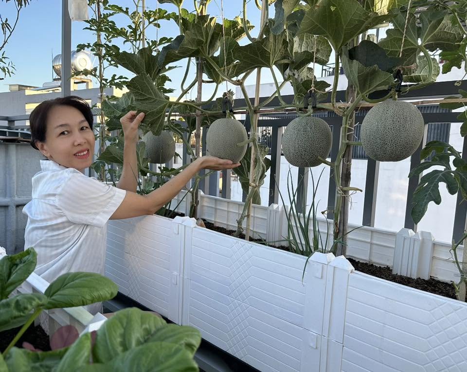 Biến s&acirc;n thượng 40m2 th&agrave;nh khu vườn xanh mướt, gia đ&igrave;nh 4 người ở TP.HCM quanh năm c&oacute; rau sạch, tr&aacute;i ngọt - Ảnh 1.