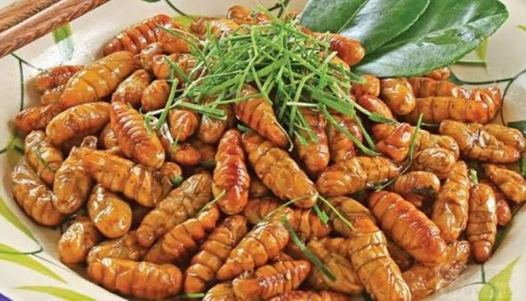 Ăn 20 con nhộng tằm, người đ&agrave;n &ocirc;ng 41 tuổi suy đa tạng, su&yacute;t mất mạng- Ảnh 2.