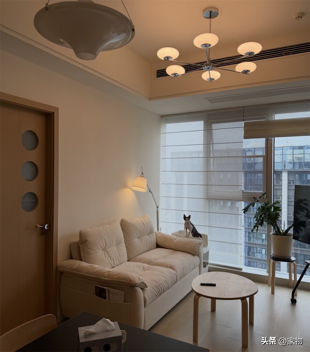 Từng là kiểu nhà người trẻ đổ xô mua, căn hộ độc thân giờ dần mất sức hút: 6 lý do sống lâu mới thấm - Ảnh 2.