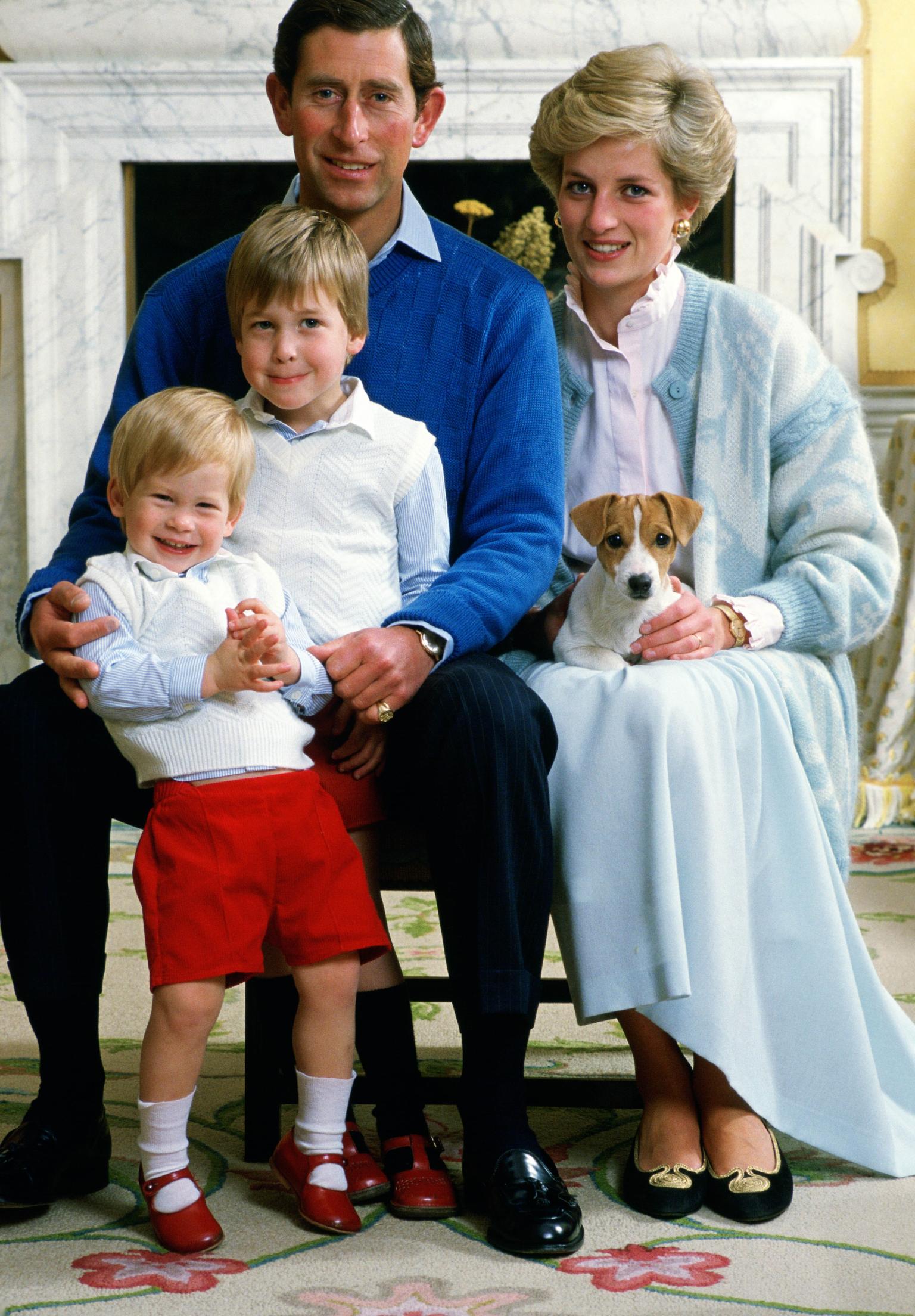 Harry và William im lặng về hồi ký Công nương Diana của cậu ruột Charles Spencer - Ảnh 4. Harry và William im lặng về hồi ký Công nương Diana của cậu ruột Charles Spencer - Ảnh 4.