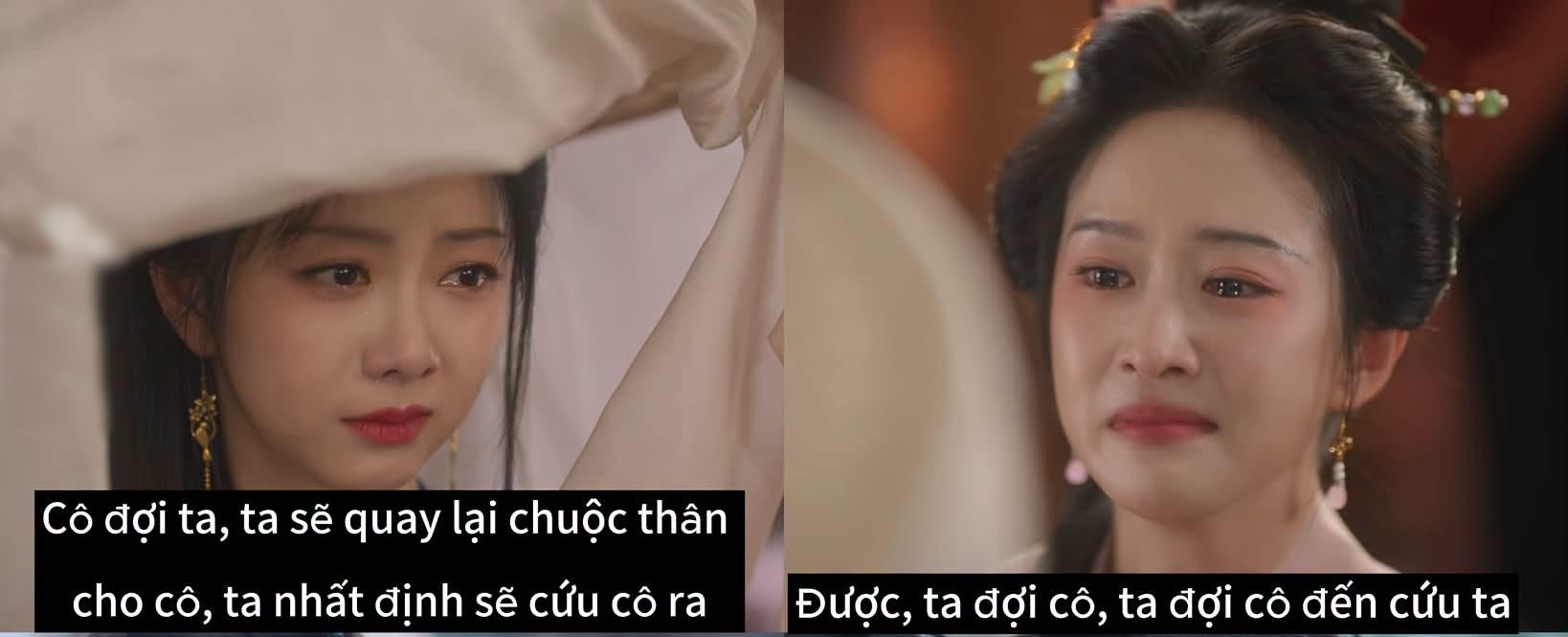  - Ảnh 1.