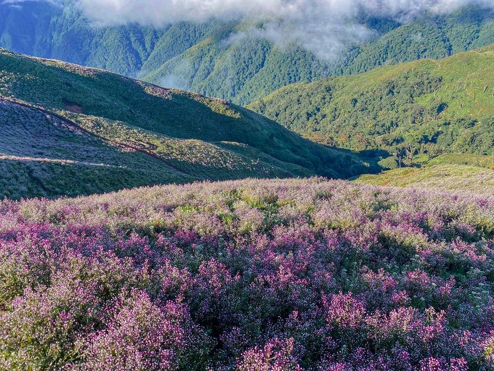 T&agrave; Ch&igrave; Nh&ugrave; m&ugrave;a hoa Chi P&acirc;u: Trải nghiệm trekking th&uacute; vị giữa d&ograve;ng người đ&ocirc;ng đ&uacute;c - Ảnh 6.