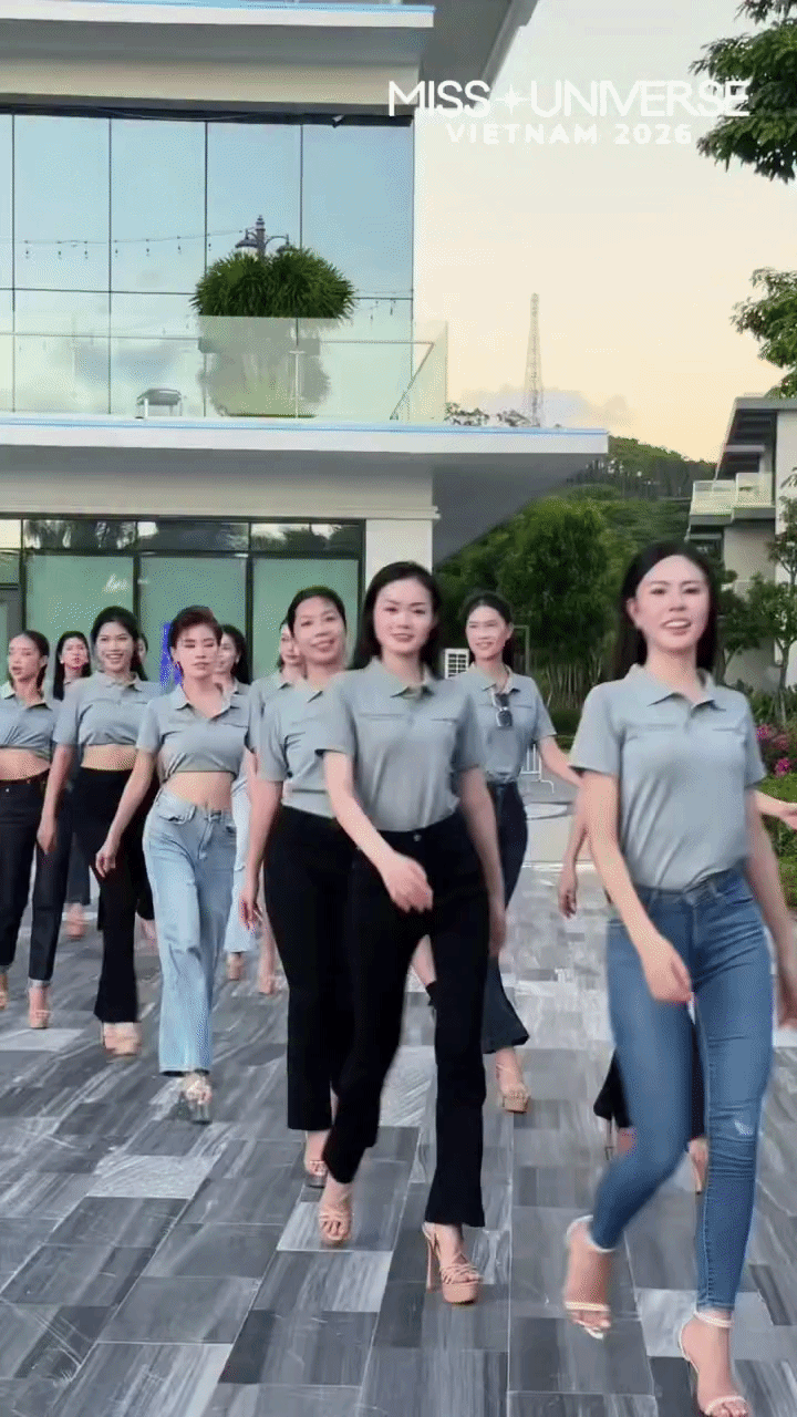 Vì sao các thí sinh Miss Universe Việt Nam bị nói giống