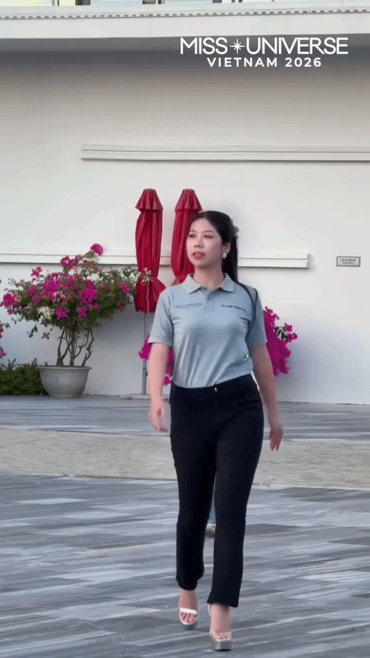 Vì sao các thí sinh Miss Universe Việt Nam bị nói giống