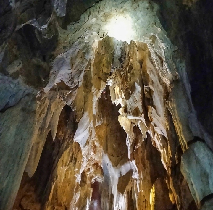Ph&aacute;t hiện hang động 3 - 4 tầng trong rừng nguy&ecirc;n sinh Tam Th&aacute;i , Nghệ An - Ảnh 2.