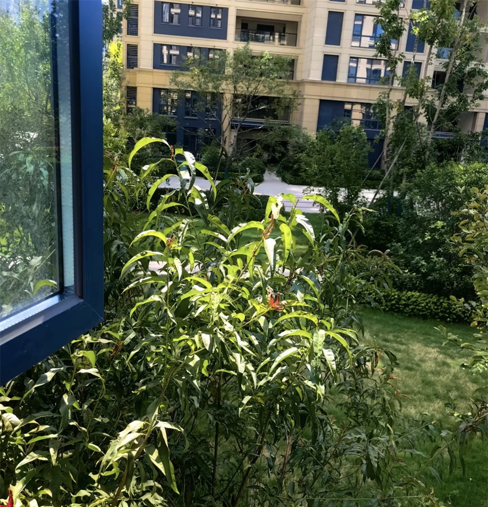 Sống tầng 20 suốt 6 năm, tôi quyết bán nhà chuyển xuống tầng 2: 3 năm sau thấy 3 ưu điểm quá đáng giá - Ảnh 6.