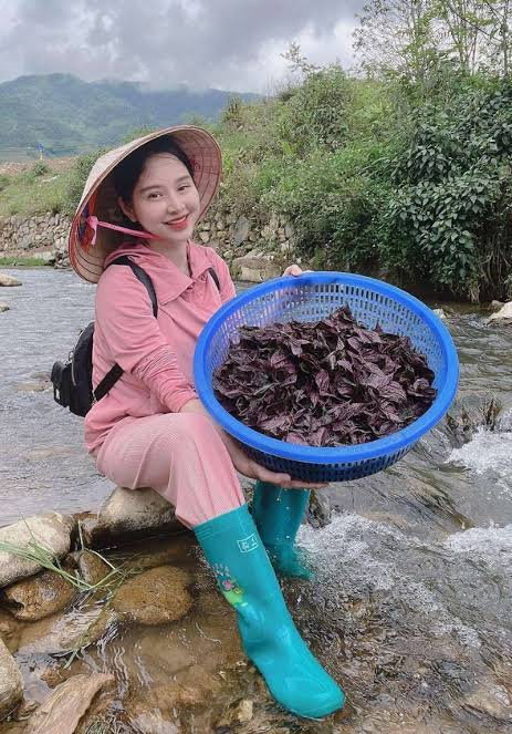 Huyền Huho l&agrave; ai? V&igrave; sao bất ngờ được nhiều người t&igrave;m kiếm trong s&aacute;ng nay? - Ảnh 7.