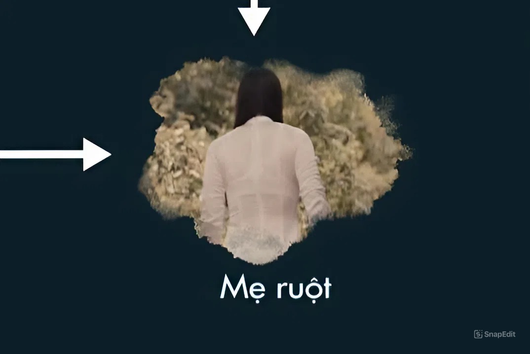  - Ảnh 3.