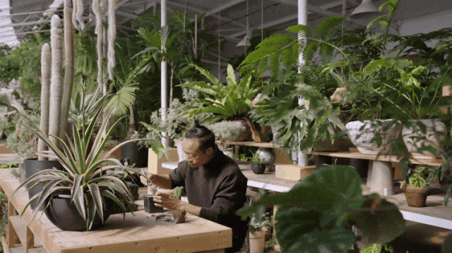 Gần 40 tuổi, người phụ nữ bỏ việc để thu&ecirc; hơn 10.000m&sup2; đất hoang: 4 năm sau, nơi n&agrave;y th&agrave;nh khu vườn khiến nhiều người ao ước - Ảnh 16.