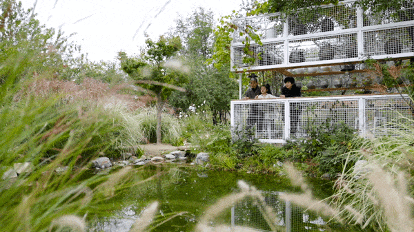 Gần 40 tuổi, người phụ nữ bỏ việc để thu&ecirc; hơn 10.000m&sup2; đất hoang: 4 năm sau, nơi n&agrave;y th&agrave;nh khu vườn khiến nhiều người ao ước - Ảnh 5.