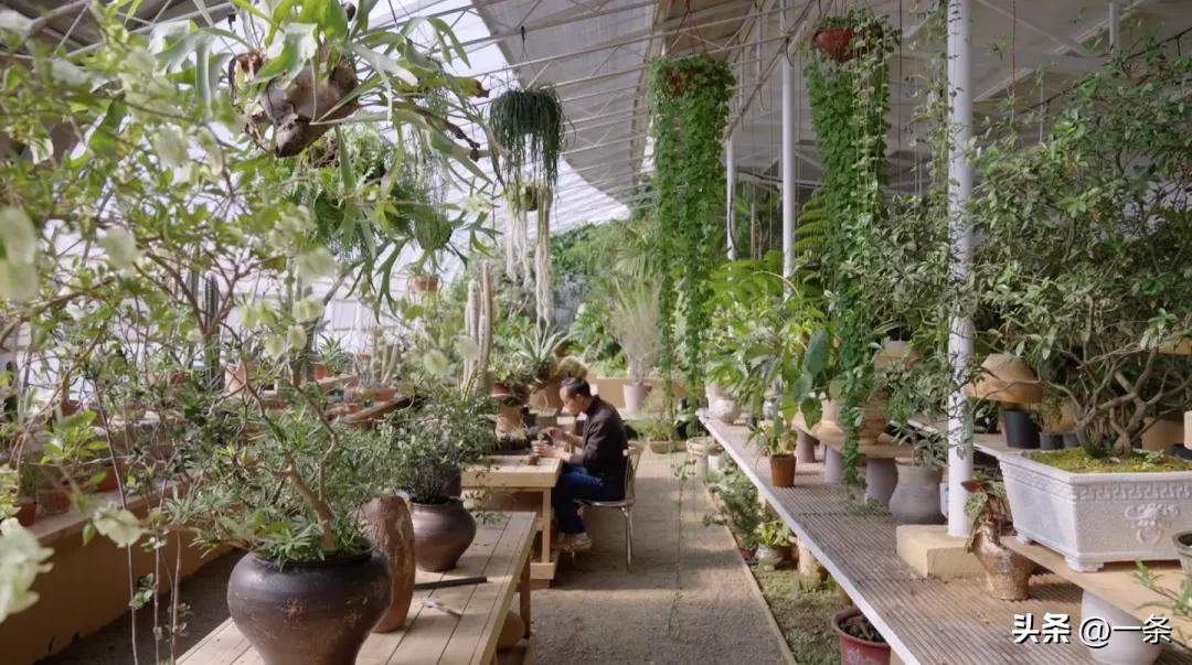 Gần 40 tuổi, người phụ nữ bỏ việc để thu&ecirc; hơn 10.000m&sup2; đất hoang: 4 năm sau, nơi n&agrave;y th&agrave;nh khu vườn khiến nhiều người ao ước - Ảnh 3.