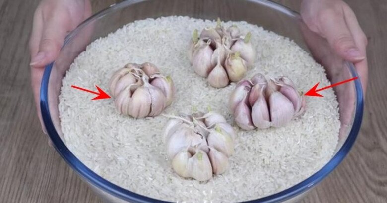 Nhà nào có thùng gạo cũng nên cho thứ này vào: Bí mật đằng sau sẽ khiến bạn bất ngờ - Ảnh 3.
