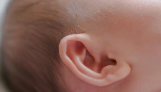 Theo quan niệm dân gian, Trẻ có những đặc điểm này là “cứng đầu, bướng bỉnh” - Ảnh 4.