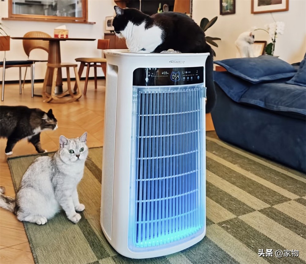7 m&oacute;n đồ gia dụng nhỏ t&ocirc;i từng nghĩ kh&ocirc;ng cần mua: D&ugrave;ng rồi mới hiểu v&igrave; sao nhiều người n&oacute;i &lsquo;c&oacute; tiền n&ecirc;n sắm sớm - Ảnh 3.