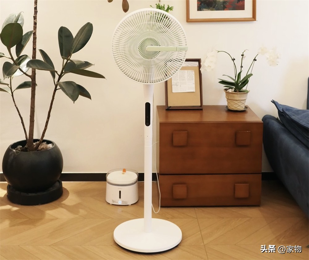 7 m&oacute;n đồ gia dụng nhỏ t&ocirc;i từng nghĩ kh&ocirc;ng cần mua: D&ugrave;ng rồi mới hiểu v&igrave; sao nhiều người n&oacute;i &lsquo;c&oacute; tiền n&ecirc;n sắm sớm - Ảnh 1.