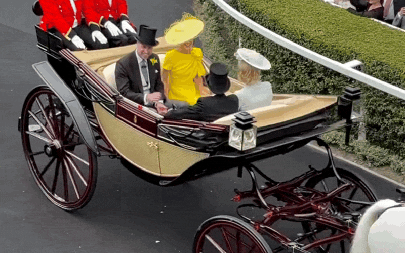 Vài tháng trôi qua, người hâm mộ Hoàng gia vẫn mê mẩn chiếc váy vàng giúp Vương phi Kate “thắp sáng” Royal Ascot - Ảnh 4.