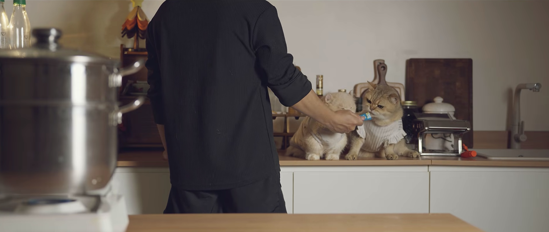Ch&agrave;ng trai Việt Nino&rsquo;s Home trở lại với video nấu ăn v&agrave; lời hứa chăm chỉ hơn - Ảnh 19.