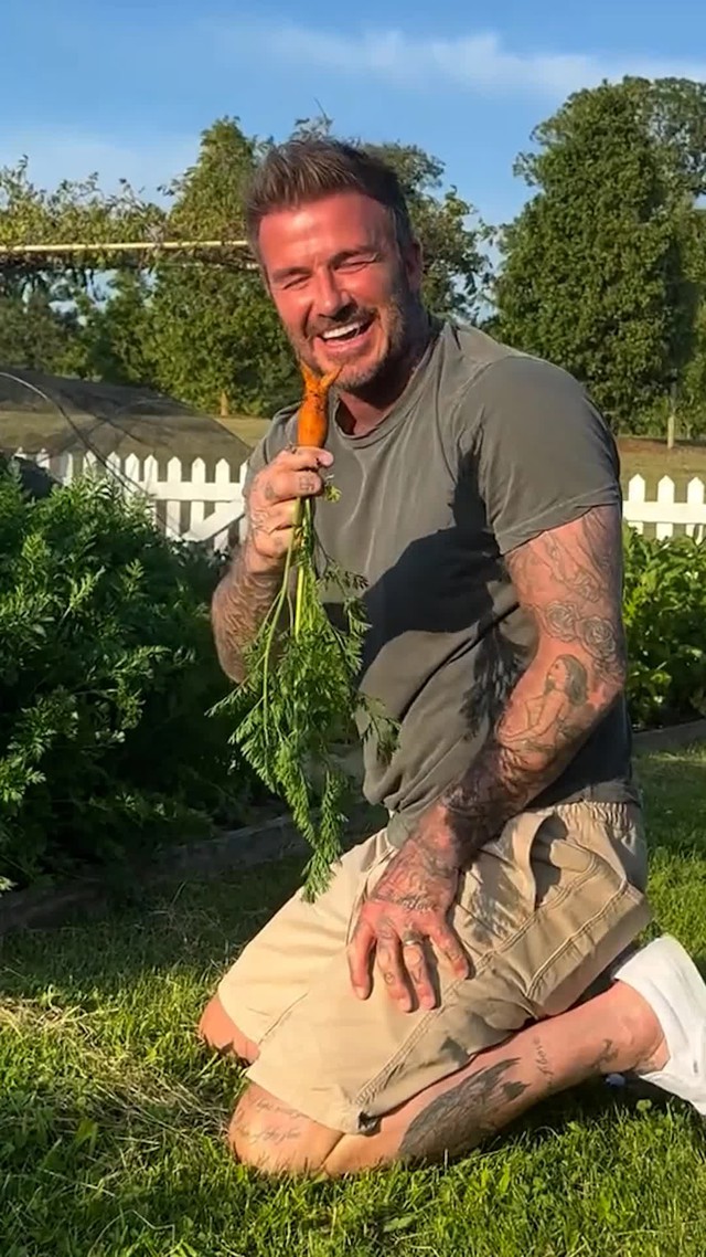 Khu vườn trồng rau nu&ocirc;i g&agrave; 350 tỷ của Beckham  - Ảnh 4.