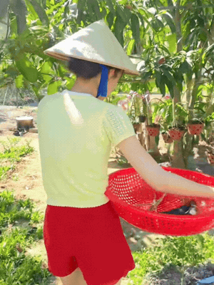 Căn nh&agrave; ở qu&ecirc; của Hoa hậu Bảo Ngọc- Ảnh 1.