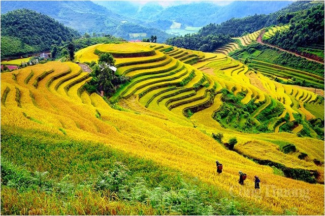 Đặc sản ngon như bỏng ng&ocirc; khiến kh&aacute;ch T&acirc;y th&iacute;ch th&uacute; - Ảnh 5.