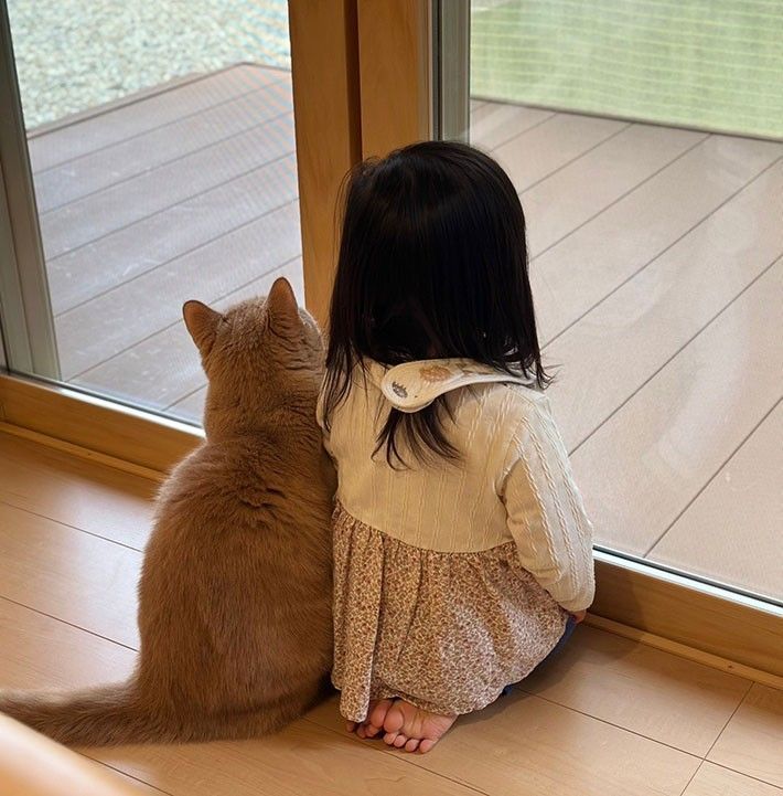 Điều g&igrave; sẽ xảy ra khi một gia đ&igrave;nh c&oacute; con nhỏ bắt đầu nu&ocirc;i th&uacute; cưng?  - Ảnh 2.