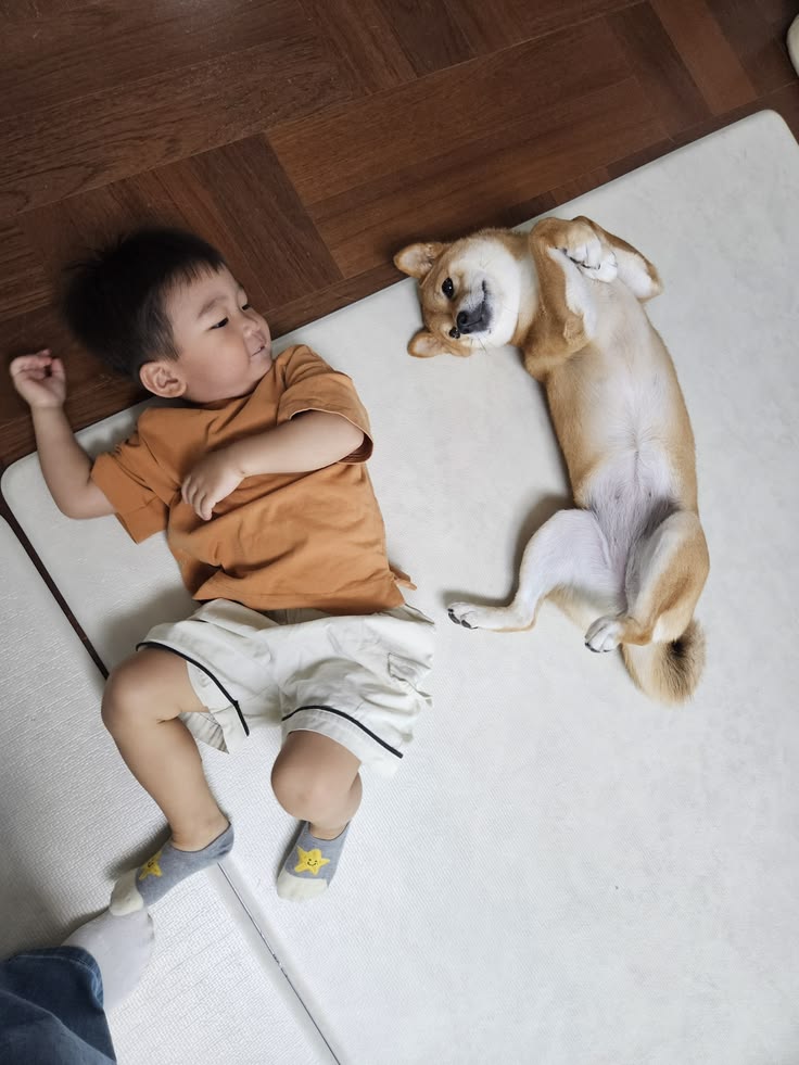 Điều g&igrave; sẽ xảy ra khi một gia đ&igrave;nh c&oacute; con nhỏ bắt đầu nu&ocirc;i th&uacute; cưng?  - Ảnh 6.