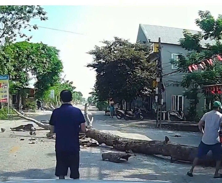 Tai nạn thương t&acirc;m do c&acirc;y đổ tại Thanh H&oacute;a , người đi xe m&aacute;y tử vong - Ảnh 1.