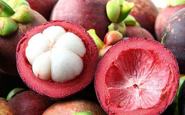 Người lớn tuổi n&ecirc;n ưu ti&ecirc;n những loại tr&aacute;i c&acirc;y n&agrave;o trong thực đơn hằng ng&agrave;y? - Ảnh 5.