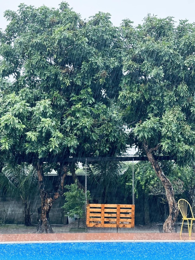  - Ảnh 10.