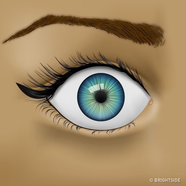 Nhận biết tình trạng sức khỏe qua những dấu hiệu của mắt - Ảnh 5.