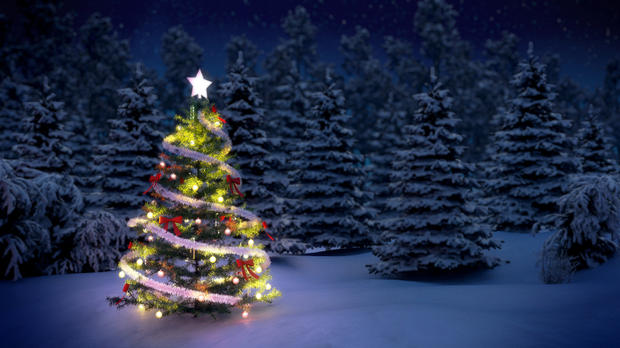 Hé lộ sự thật ít người biết về cây thông Noel đang xuất hiện ở khắp nơi trên thế giới - Ảnh 1.