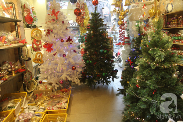 Cận Giáng sinh, cây thông Noel thật nhập từ Mỹ, giá bạc triệu vẫn hút hàng ở Sài Gòn - Ảnh 8.