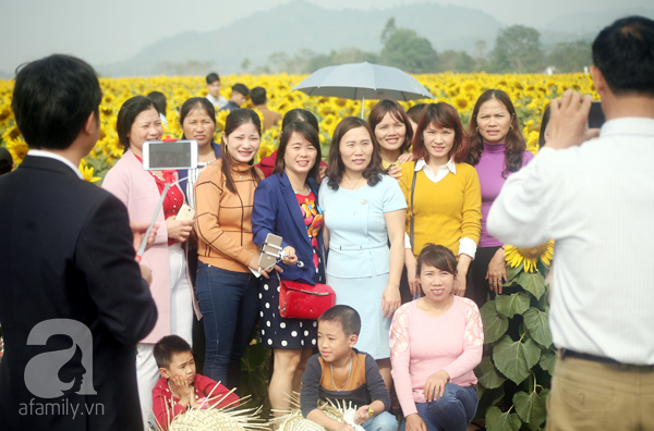 Nhiều gia đình đi từ giữa đêm để ngắm cánh đồng hoa hướng dương ở Nghệ An - Ảnh 9.