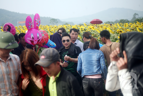 Nhiều gia đình đi từ giữa đêm để ngắm cánh đồng hoa hướng dương ở Nghệ An - Ảnh 3.