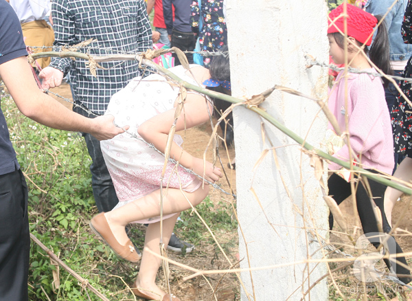 Hàng trăm người xé rào thép gai đột nhập vào cánh đồng hoa hướng dương - Ảnh 12.