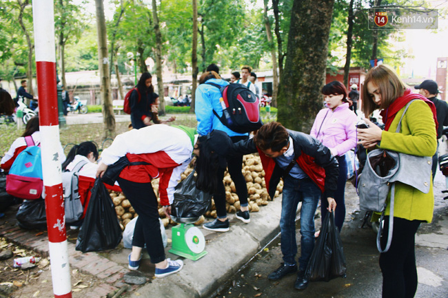 Người Hà Nội rủ nhau đi mua củ đậu ủng hộ nông dân Quảng Ngãi bị thiên tai - Ảnh 1.