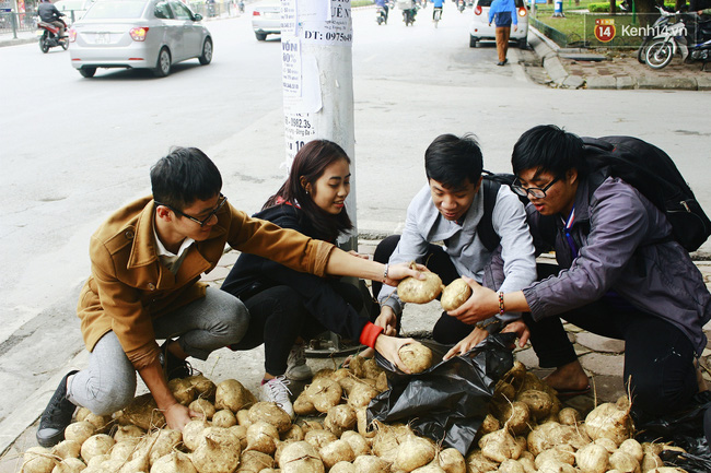 Người Hà Nội rủ nhau đi mua củ đậu ủng hộ nông dân Quảng Ngãi bị thiên tai - Ảnh 6.
